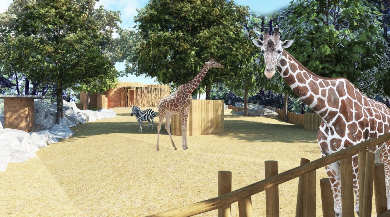 ZOO Liberec - Rekonstrukce pavilonu a výběhu žiraf a zeber